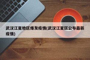 武汉江夏地区爆发疫情(武汉江夏区公布最新疫情)