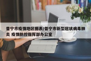 普宁市疫情地区图表/普宁市新型冠状病毒肺炎 疫情防控指挥部办公室